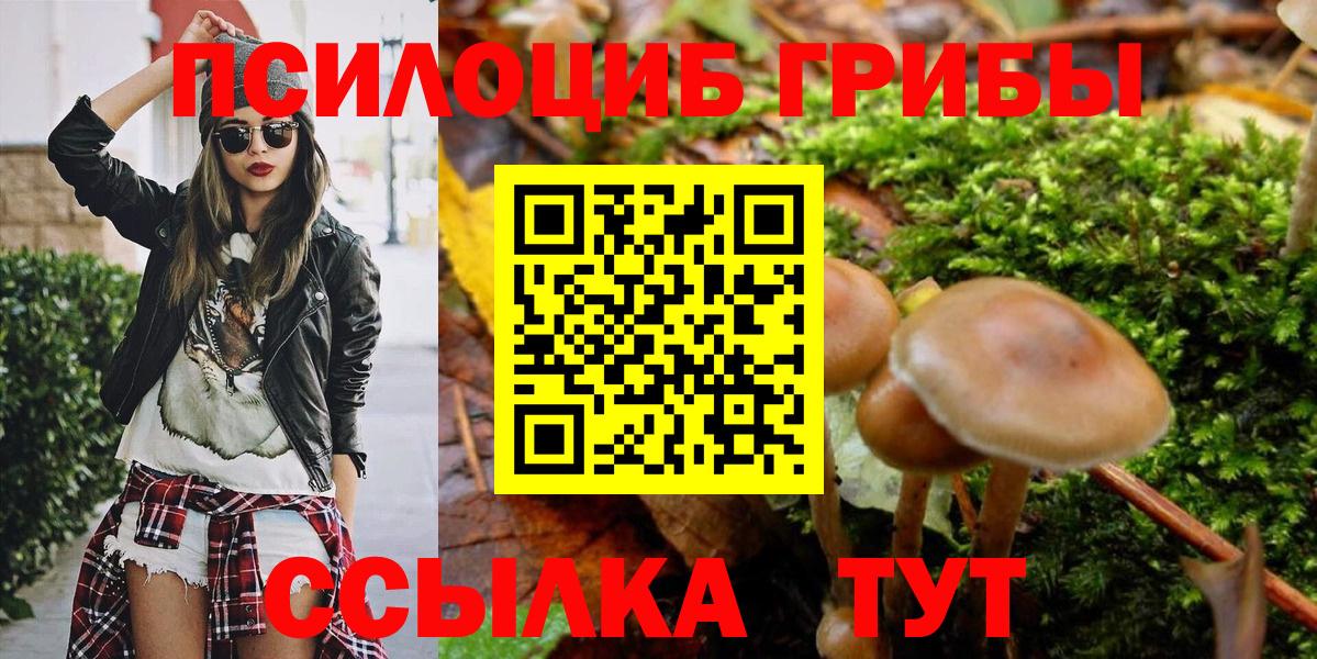 Псилоцибиновые грибы Psilocybe Омск