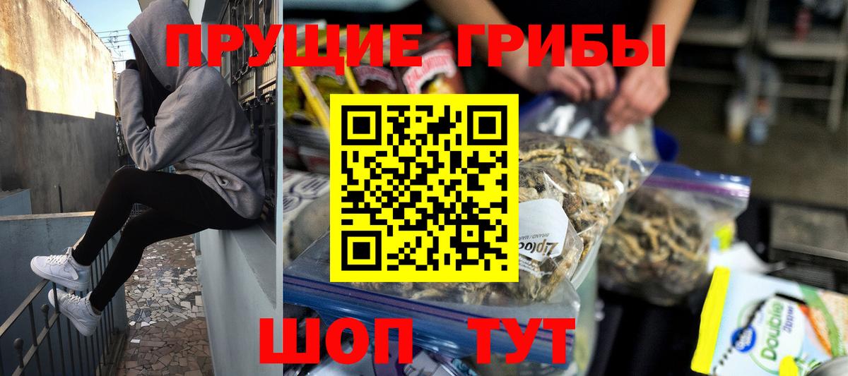 Псилоцибиновые грибы Psilocybe  Вход с VPN  Омск 